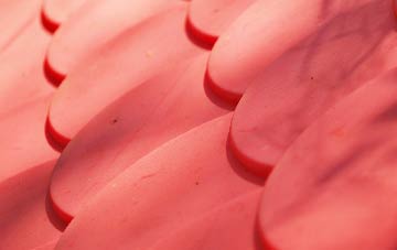 Shaw Heath plastic roof costs