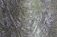 Shaw Heath fibreglass roof work